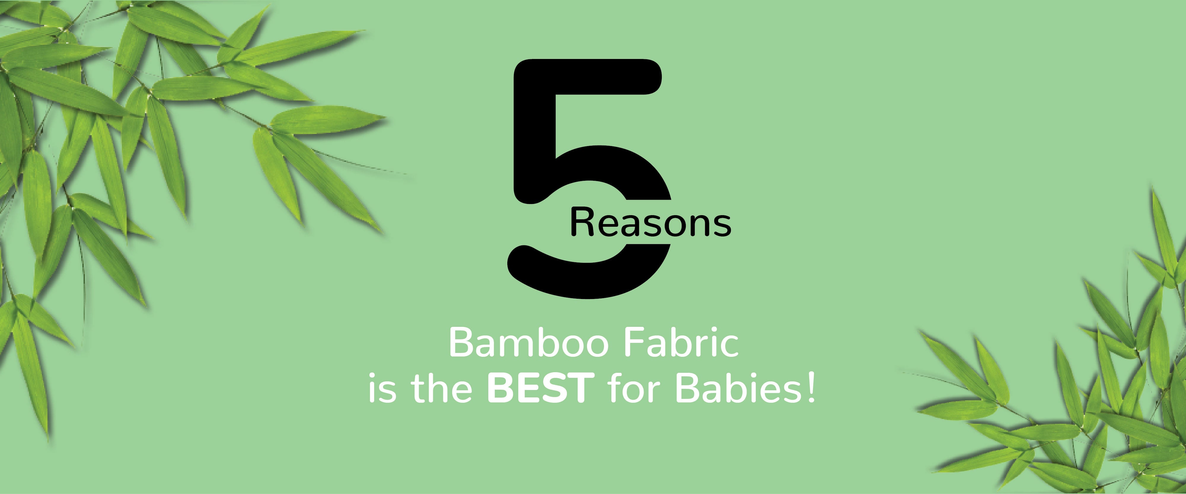 5 Reasons Bamboo Fabric is the BEST for Babies!
