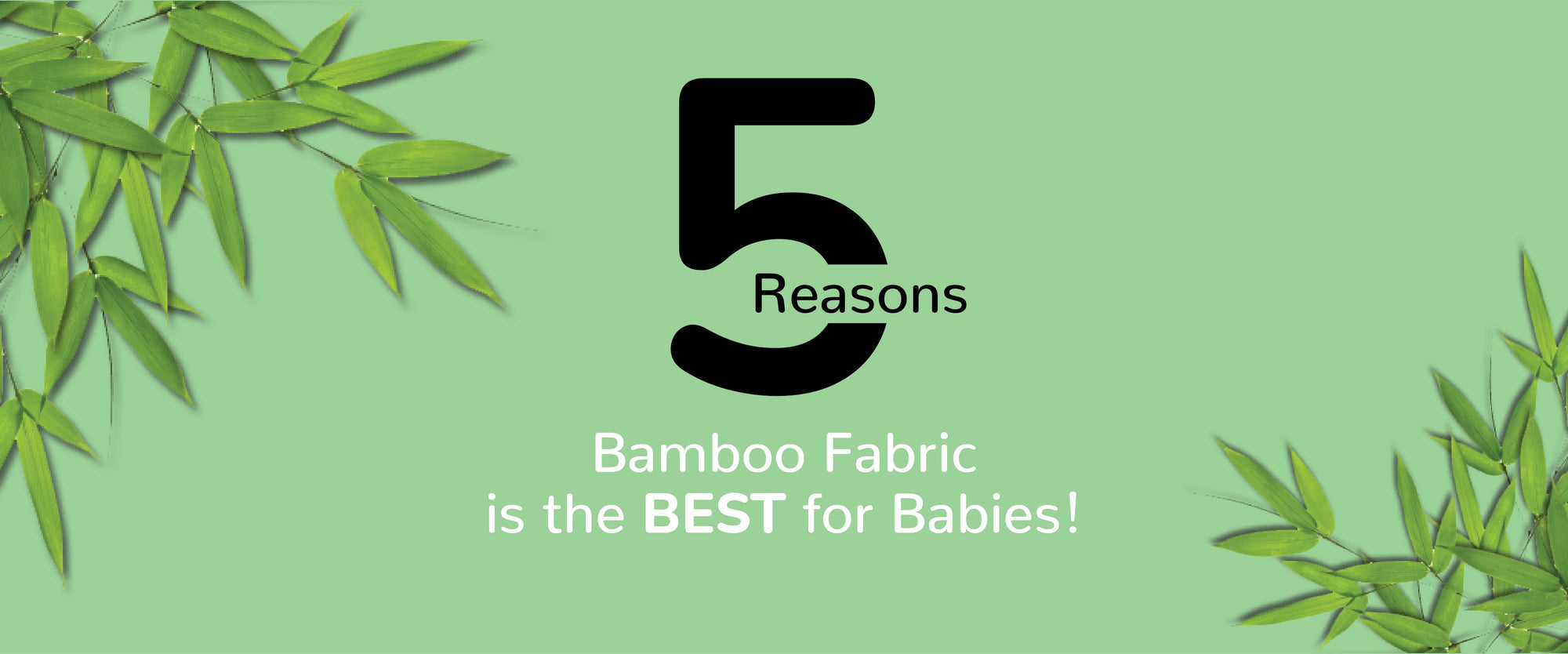 5 Reasons Bamboo Fabric is the BEST for Babies!