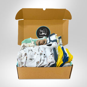 Jumbo Gift set of 21 with Blanket - Free Rattler