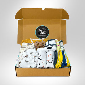 Jumbo Gift set of 21 with Blanket - Free Rattler