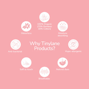 Why Tiny Lane
